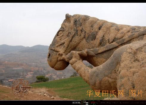 ��ƽ�������ϣ�ɽ�����ݸ���ƽ�h���������կ